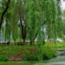 근명중학교 이미지