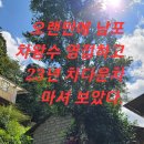 맛남포차 이미지