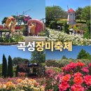 전남 곡성 가볼만한곳 섬진강 기차마을 장미공원 세계장미축제 입장권