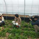 민들레유통 이미지