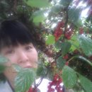 유경농장 이미지