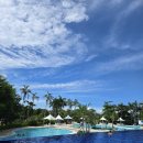 웰빙카써비스 | 필리핀세부솔레아리조트 자유여행패키지 3박 5일 일정 가격 비용 추천 후기