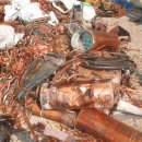 금강비철 이미지