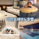 다인채널 | 제주 다인오세아노호텔 사계절온수풀 가성비호텔 아이랑 가기 좋은 곳