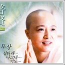 보현 이미지