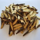 경희성모연합의원 이미지