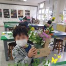 대구선원초등학교 이미지