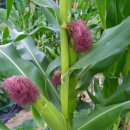 근성농장 이미지