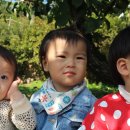 승민농장 이미지