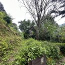 하늘호수민박 이미지