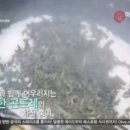 테이스티로그