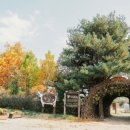 한들목장 이미지