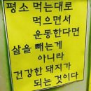 옵티멀 무브 이미지