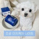 나이트 | 강아지 종합영양제 추천, 올인원 케어 조공이지케어나이트 후기
