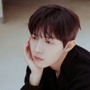 서정적