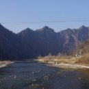 동강백운산 민박 | 34.동강 백운산