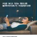 골드비전