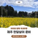 한라운송 | 4개월 아기랑 제주 한달살기 준비- 숙소, 비행기, 탁송