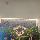 황금송아지 이미지