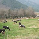 묵동목장 이미지