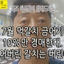 7월 먹갈치 금어기, 생선 총 무게의 10%만 경매 할 수 있고 버려야 하는데 겁나게 거시기 합니다. 이미지