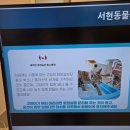 미래동물의료센터 | 청주 서현동물의료센터 강아지 건강검진 후기, 노견 단비의 꼼꼼한 체크업 리얼 리뷰!