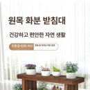 공신한의원 | 원목 화분 진열대 비교 후기 일상의 온도를 바꾸다