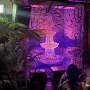 제주도게스트하우스파티 사교장 이미지