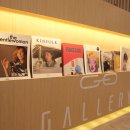 갤러리안경콘텍트 이미지