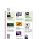 2025 현대미술 권기자·김결수 2인전 「MAESTRO」 | [25.04.] 대구 25년 04월 전시일정