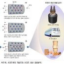 저항이 없는 전류의 흐름, 초전도 현상 발견 이미지