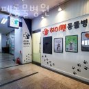 하이펫동물병원 이미지