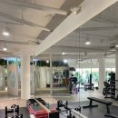 바디스짐 언주역점 | 언주역 헬스장 고민끝에 바디쉬 언주역점 PT