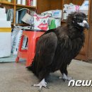 대전야생동물구조관리센터 이미지