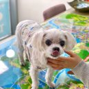 금강공인중개사 | [소공일기#3]소속공인중개사출근후기 (서이추환영 💙)