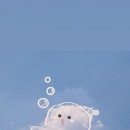 홍성그린 이미지