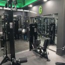 그로우피티 이미지