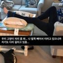 오늘도 방긋