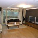 쌍용(아) 이미지