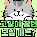 166. 고양이 경련 보이는 이유! 이미지