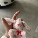 치환목장 | [한 달 살기] 치앙마이에서 벌써 2주 차