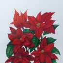 색연필 보타니컬 아트 이미지