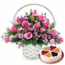 꿈꾸는 물고기 이미지