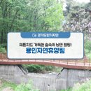 용인DATE데이트 | 피톤치드 가득한 숲속의 낭만 캠핑! 용인자연휴양림