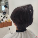 영해버스정류장 | 경성대 미용실 남자 머리 전문 살롱리브레 경성대점 남자펌 후기