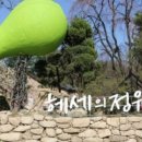 애견의 정원 이미지