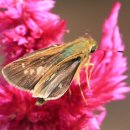 난지천공원 이미지