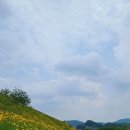 원주굽이길 7코스 태조왕건길 네이버블로그