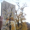 은행나무시장 이미지