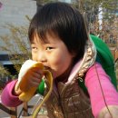 종고초교병설유치원 이미지